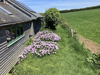 Chalet Camelford Außenaufnahme 7