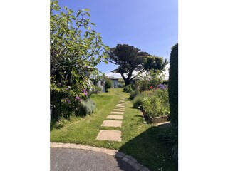 path to the Studio through the garden