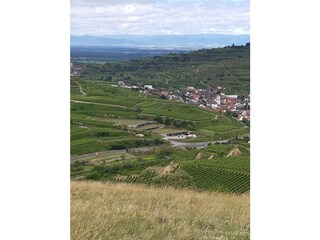 Kaiserstuhl