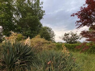 Casale Issy-l'Eveque Ambiente 29