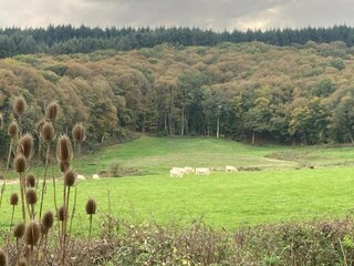 Type de propriété : Chalet Issy-l'Eveque Environnement 35