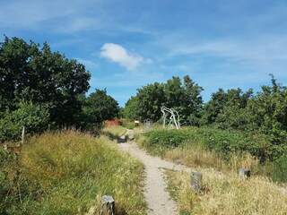 Boerderij Groet Omgeving 35