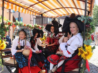 Vakantieappartement Nothalten Omgeving 30