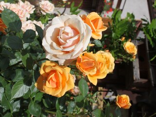 Appartamento per vacanze Nothalten Registrazione all'aperto 12