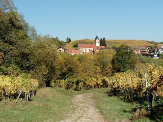 Appartement de vacances Nothalten Environnement 32