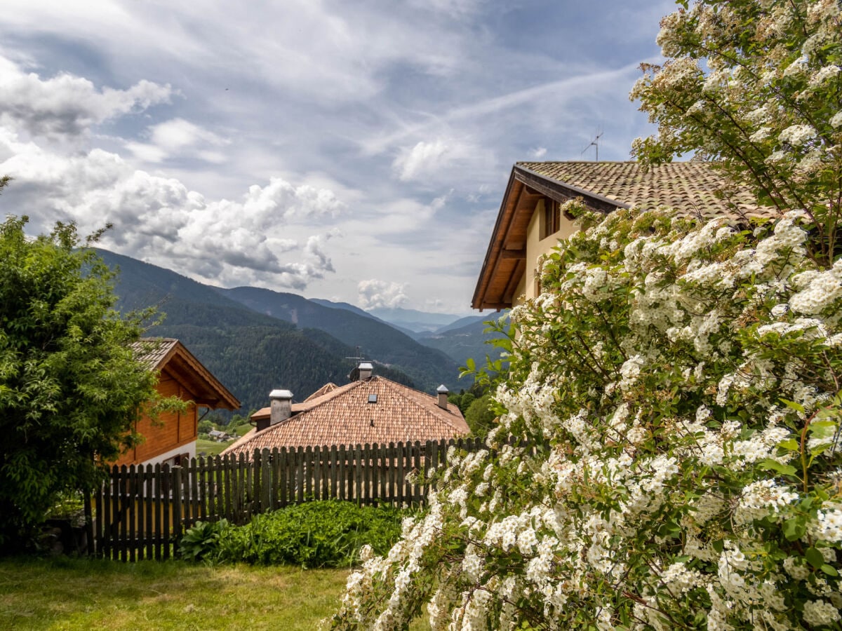 Ferienhaus Altrei Außenaufnahme 6