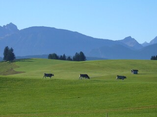 Blick vom Balkon