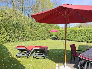 Blick in den Garten