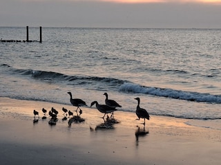 Abendstimmung am Meer