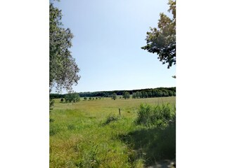 Die Wohnung ist von der Natur umgeben