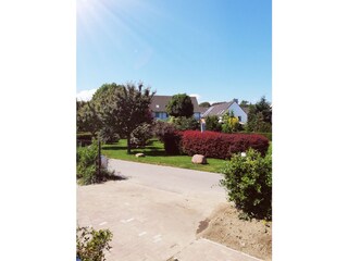 Blick aus dem Wohn-Essbereich