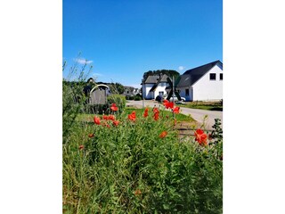 Überquerung des Rasenden Rolands