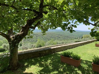Vakantiehuis Pergine Valdarno Buitenaudio-opname 9