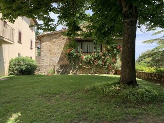 Vakantiehuis Pergine Valdarno Buitenaudio-opname 3