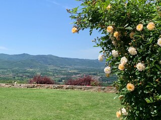 Casa de vacaciones Pergine Valdarno Grabación al aire libre 4