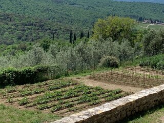 Vakantiehuis Pergine Valdarno Omgeving 33