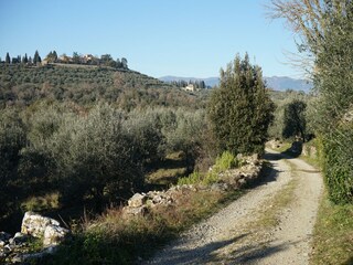 Vakantiehuis Pergine Valdarno Omgeving 31