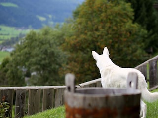 Aussicht genießen !