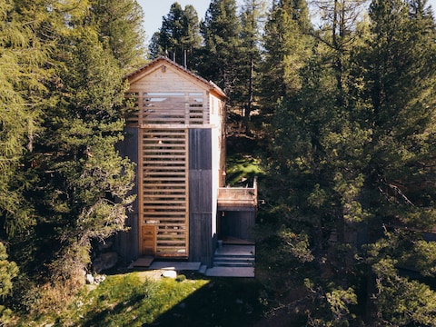 Alpine hut Hollmann am Berg - Luki