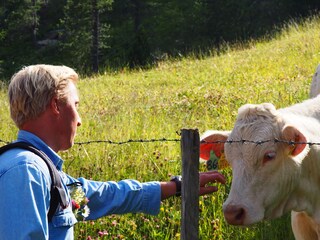 Alpenhut Turracherhöhe Omgeving 19