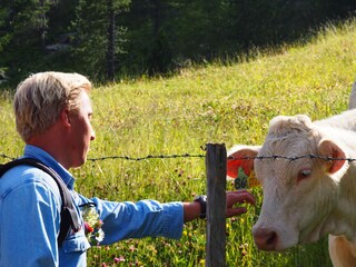 Alpenhut Turracherhöhe Omgeving 19