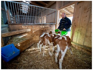 Appartamento per vacanze Völs am Schlern Registrazione all'aperto 15