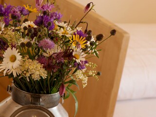 Vakantieappartement Völs am Schlern Buitenaudio-opname 17