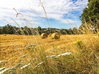 Maison de vacances Payzac (Dordogne) Environnement 41