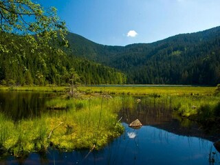 Appartamento Gößweinstein Ambiente 25