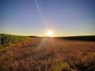 Appartement Büchenbach Omgeving 19