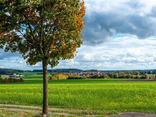 Appartement Büchenbach Environnement 14