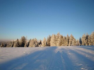 Apartamento Büchenbach Entorno 36