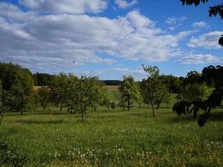 Appartement Büchenbach Omgeving 27