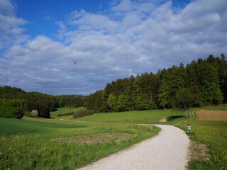 Apartamento Büchenbach Entorno 38