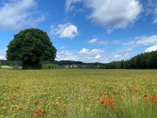 Apartamento Büchenbach Entorno 27