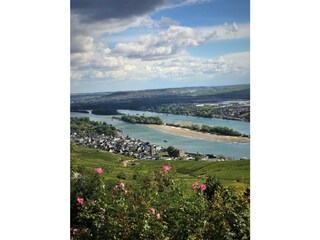 Blick von der Seilbahn