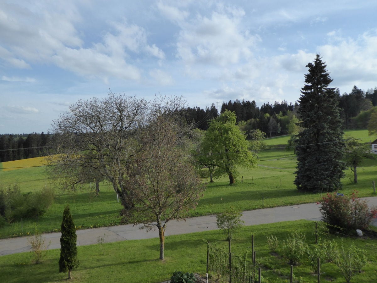 Blick von der Terrasse