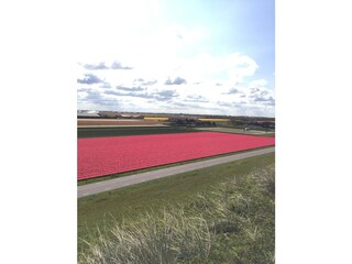 Appartamento Julianadorp Ambiente 21