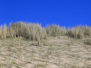 Appartamento Julianadorp Ambiente 22