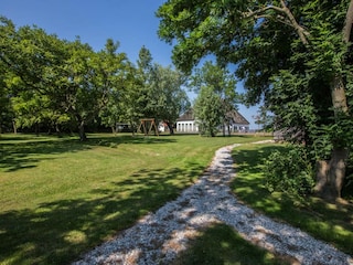 Bauernhof De Cocksdorp Außenaufnahme 3