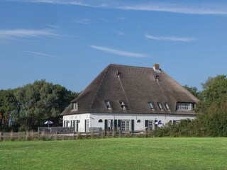 Bauernhof De Cocksdorp Außenaufnahme 6