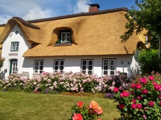 Ferienwohnung Deutschland Außenaufnahme 2