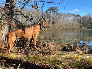 Casa per le vacanze Pouillon Documento 23