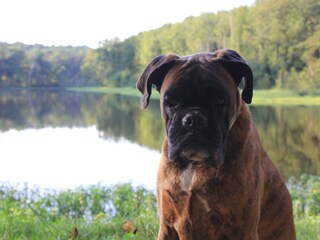 Casa de vacaciones Pouillon Documento 22