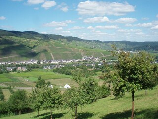 Appartement Kinheim Omgeving 13