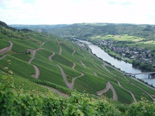 Appartement Kinheim Omgeving 20