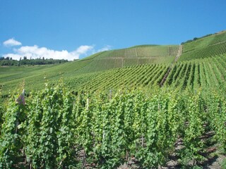 Appartamento Kinheim Ambiente 18