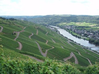 Apartment Kinheim Environment 26