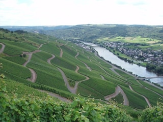 Appartamento Kinheim Ambiente 23