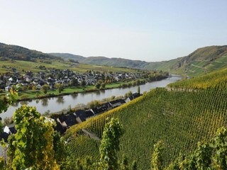 Appartement Kinheim Omgeving 25